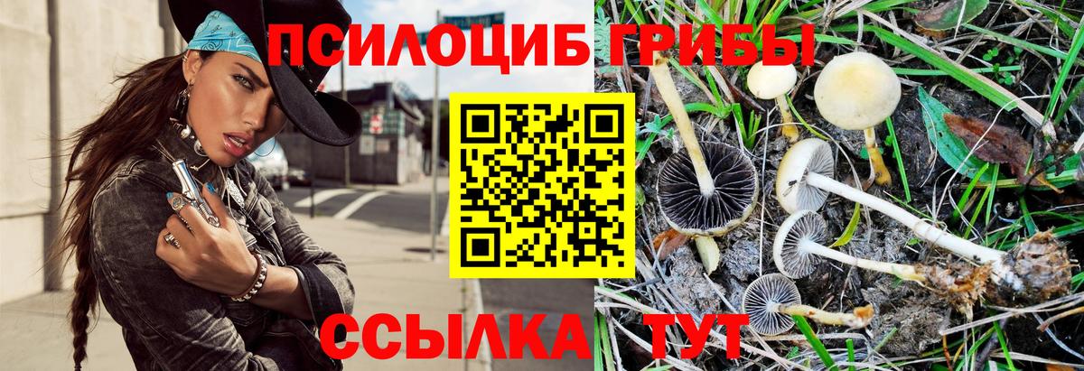 Псилоцибиновые грибы Cubensis  Вход с VPN  Галлюциногенные грибы Psilocybe  Тверь 